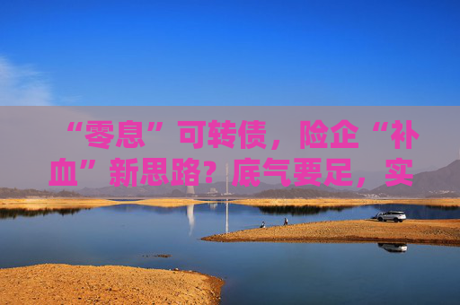 “零息”可轉(zhuǎn)債，險(xiǎn)企“補(bǔ)血”新思路？底氣要足，實(shí)力要硬！